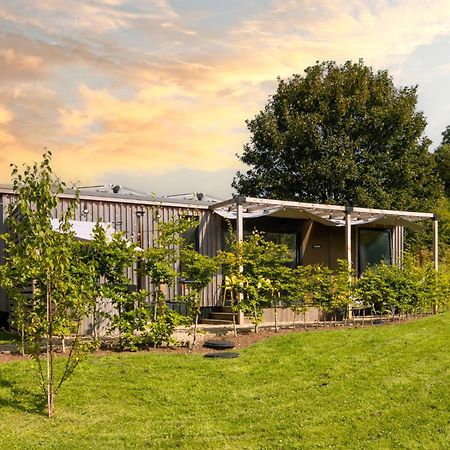 The Hive - Unique Hot Tub Cabin In ミルポート エクステリア 写真